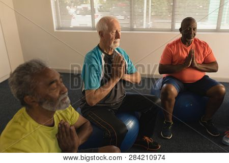 Side view of group of active senior men performing yoga doing ball exercice at home