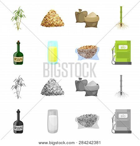 Vector Design Of Farm And Agriculture  Icon. Set Of Farm And Technology Vector Icon For Stock.