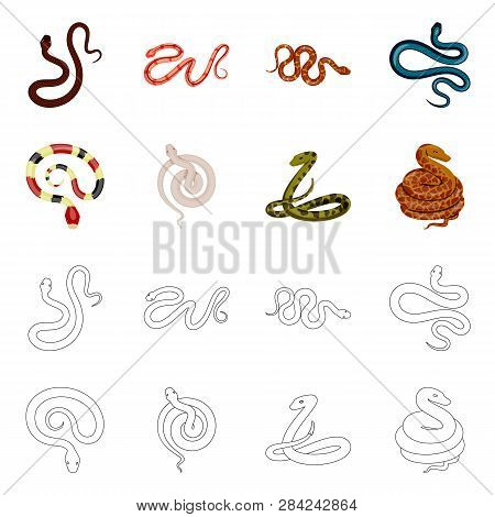Vector Illustration Of Mammal And Danger Logo. Set Of Mammal And Medicine Stock Vector Illustration.