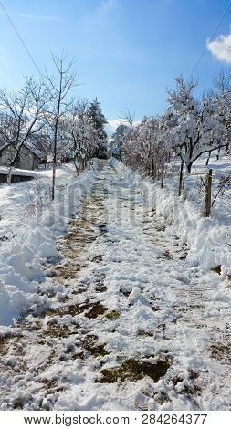 One Long Path With A Beautiful View Of The Sky And The Trees