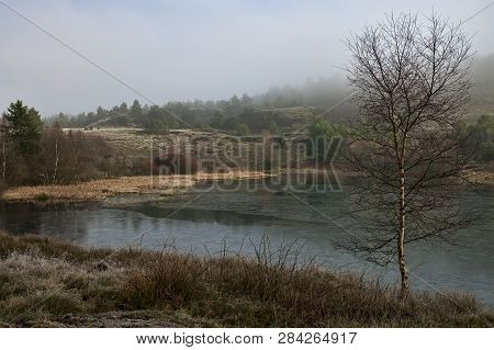 Misty Morning In A Moor Near Silkeborg, Denmark