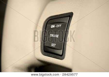 크루즈 컨트롤 버튼