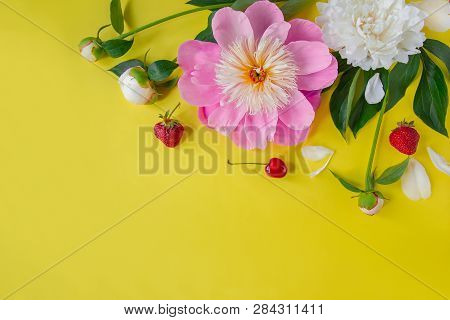 Flowers Of Peony, Branches, Leaves And Petals And Berries Of Cherry, Strawberry With Space For Text