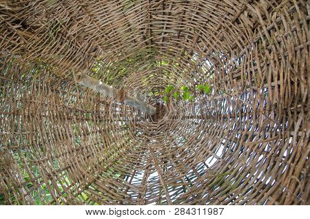 Beach Straw Umbrella With Green Petals On A Sunny Summer Day