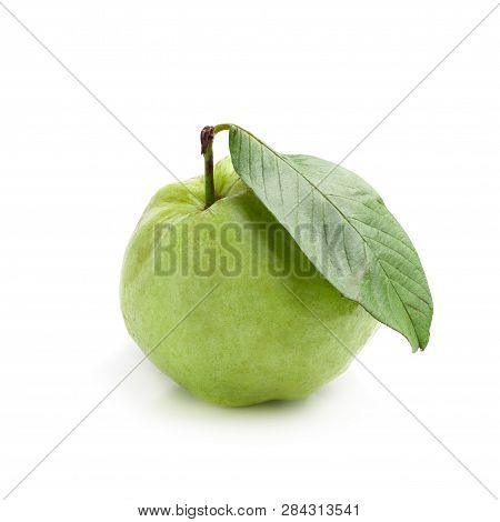 Guava Fruit Isolated On A White Background.