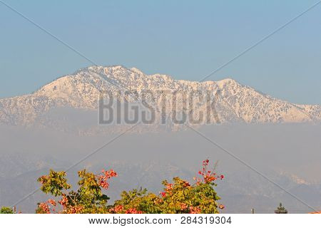 Snow Covering Mount San Antonio In Winter From Montclair In Greater Los Angeles, California, Usa.