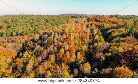 Aerial Footage View. Colored Autumn Trees. Flight Over Autumn Mo