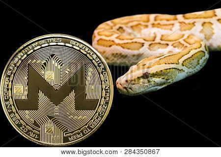 Concept Yellow Snake And Coin Cryptocurrency Xmr. Monero