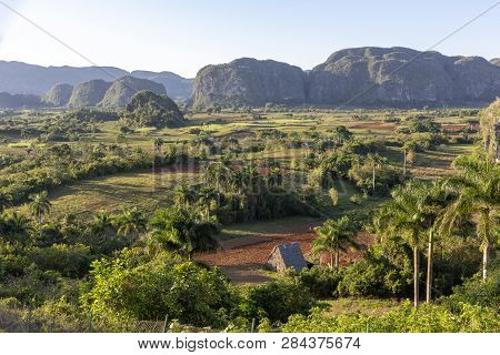 Panorma View Of Fields, Mogotes And Palms In Vinales Valley, Cuba