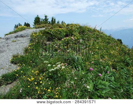 Gonzen Mountain Or Gonzen Berggipfel In The Appenzell Alps Mountain Range - Canton Of St. Gallen, Sw