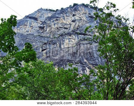 Stones And Rocks Of Gonzen Mountain Above Sargans And The River Rhine Valley - Canton Of St. Gallen,