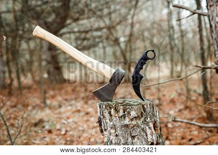 Axe And Karambit Knife Suck In The Stump In The Forest