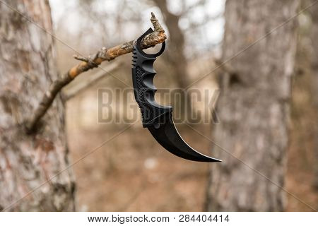 Karambit Knife Hanging On The Branch In The Autumn Forest