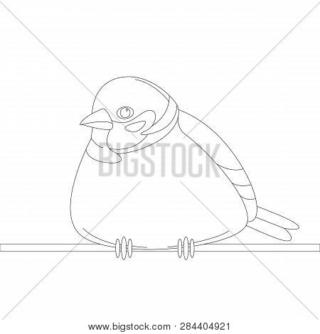 Bird Sparrow, Vector Illustration, Lining Draw,   Front View