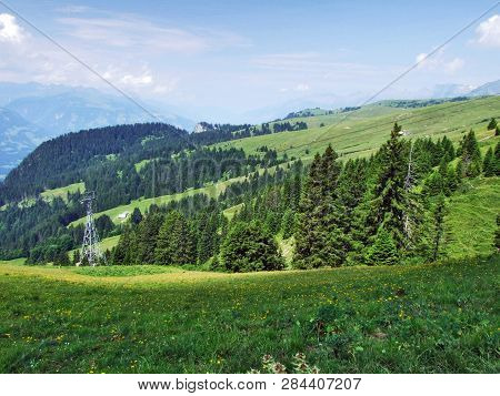 Trees And Evergreen Forests On The Slopes Of Gonzen Mountain - Canton Of St. Gallen, Switzerland
