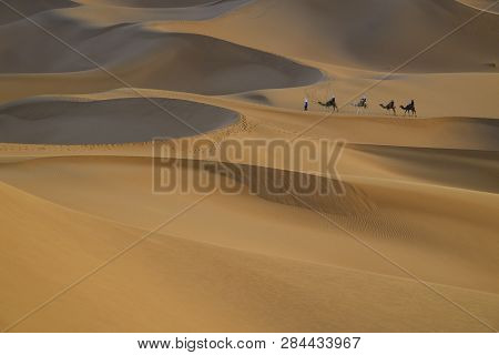 Camel Caravan With A Drover Among The Sand Dunes.