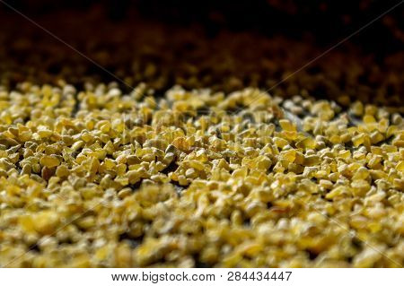 Corn Grits Groat Background. Top View, Closeup. Cake Base