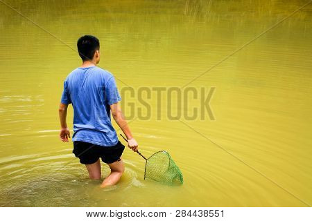 Man Collecting Farmed Snails In The Pond
