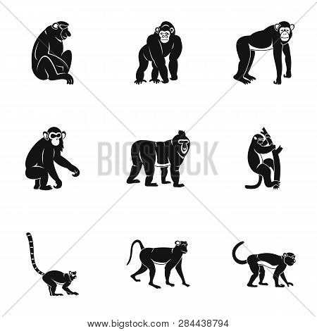 Monkey Icon Set. Simple Set Of 9 Monkey Icons For Web Isolated On White Background