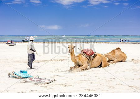 Diani Beach, Kenya - October 10, 2018: Native African Man, His Camels And Diani Beach Seascape, Keny