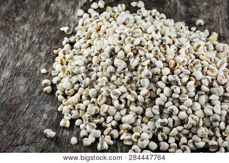 Job's Tears Coix Lachryma Jobi Grain Seeds On Rustic Wood Background
