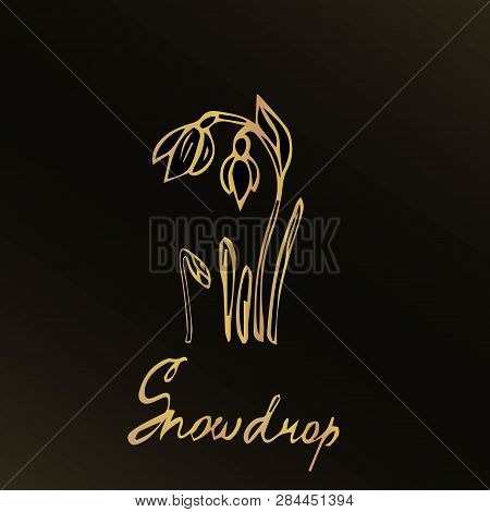Hand Drawn Spring Flower. It Is Executed By A Gold Gradient On A Black Background. There Is A Flower