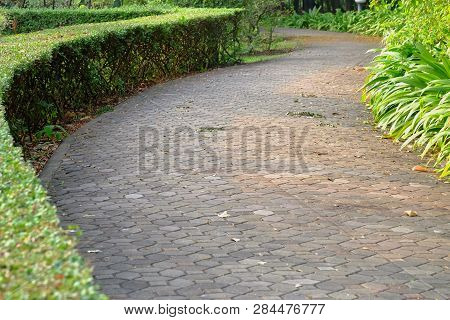 A Curved Cement Bricks Walkway With Green Fence Background For Exterior Gardening Design Idea