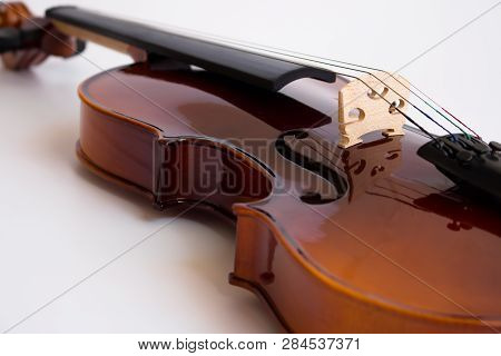 Violin Or Fiddle In White Background, Viola