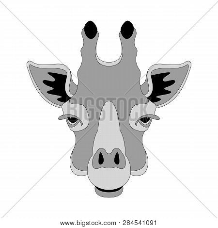 Giraffe  Face, Vector Illustration ,  Front View, Flat Style