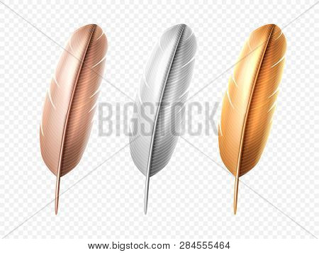 Set Of Isolated White And Bronze, Golden Bird Realistic Feather. Soft Or Lightweight Quill Of Peacoc