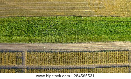 Top View On Flat Geometric Areas Of An Agricultural Field
