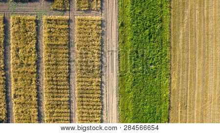 Top View On Flat Geometric Areas Of An Agricultural Field