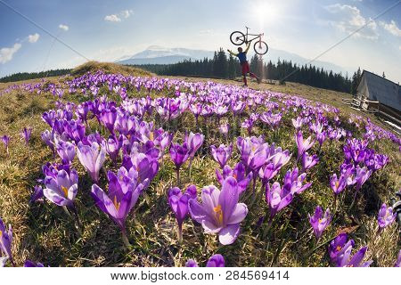 Racer Among  Fantastic Gentle Flowers