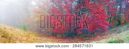 Autumn In The Mountains Of Europe