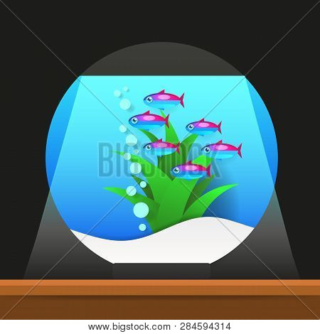 Cartoon Freshwater Fishes In Tank Aquarium Vector Illustration. Exotic Cartoon Fish In Aquarium.