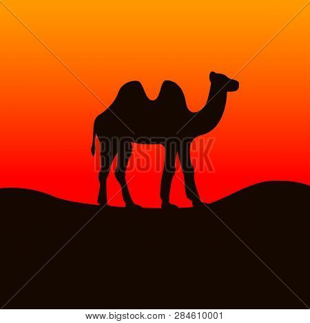 Bactrian Camel In Gobi Desert. Vector Illustration.