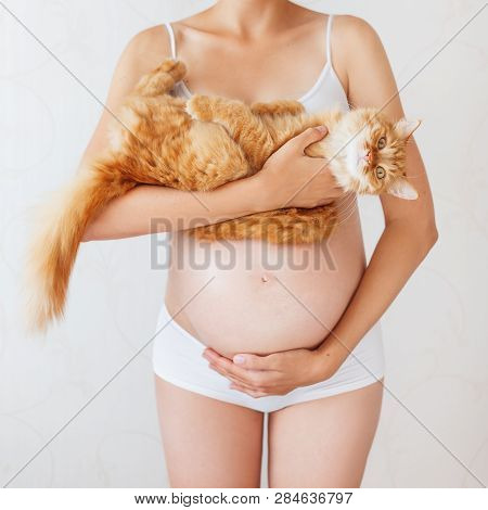 Pregnant Woman In White Underwear With Cute Ginger Cat. Young Woman Expecting A Baby. Risk Of Infect