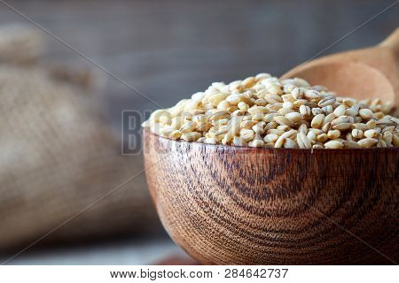 Barley Grain (hordeum Vulgare) In Wooden Bowl. Copy Space