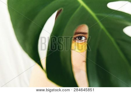 Portrait Of Beautiful Young Woman With Golden Patch Under Eye At Green Palm Leaf, Creative Beauty Ph