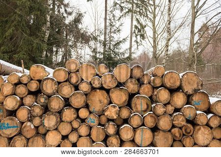 Close Up Photo Of Cut Lumber Wood Logs In The Snow In Winter