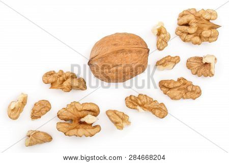 Peelled Walnuts Isolated On White Background With Copy Space For Your Text. Top View. Flat Lay