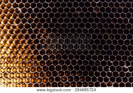 The Old Beehive Has No Bee Body As The Background.