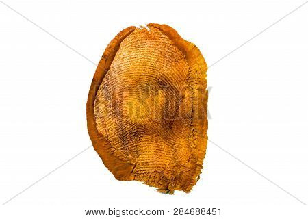 Fingerprint Texture In Orange Paint On White Isolated Background