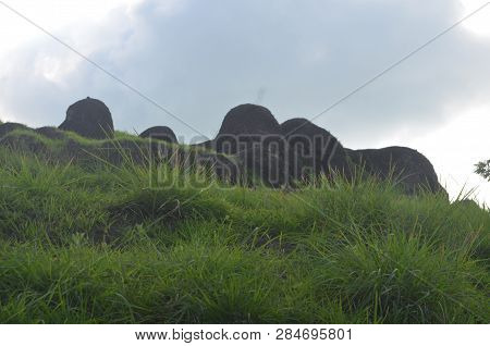 Green Pastures That Lie On The Mountain