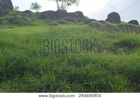 Green Pastures That Lie On The Mountain