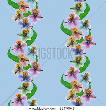 Pyrola. Texture Of Flowers. Seamless Pattern For Continuous Replicate. Floral Background, Photo Coll