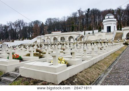 Lviv, Ucraina - cimitero di aquilotti