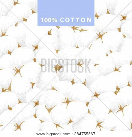 Delicate White Cotton Flower