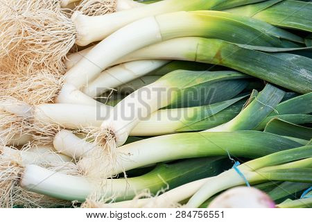 Bunch Of The Fresh Organic Leek On The Market