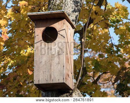 Nesting Boxes For Owls Can Be Lifted All Year Long, But Now It Is Likely That Owls Will Be Able To S